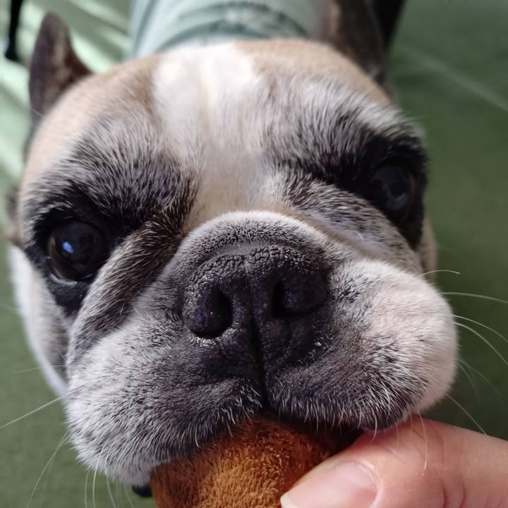 Aede7b93 5c6f 4725 8500 bbb4768a4533 1766042651830