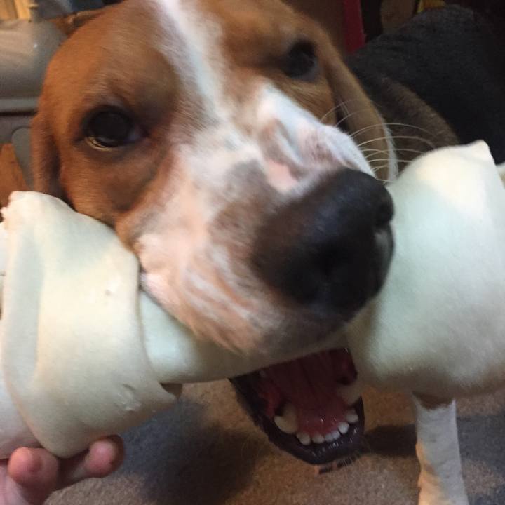 Aede89c1 0bdc 423a 8043 e2828f289d02 1535262115979