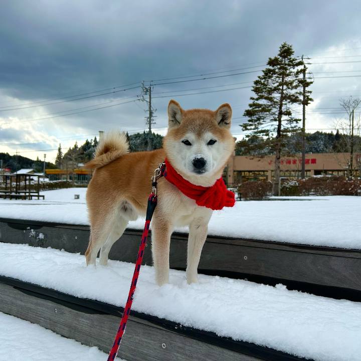 Aedea24c c48f 4442 843f 2328846546ed 1738754165973