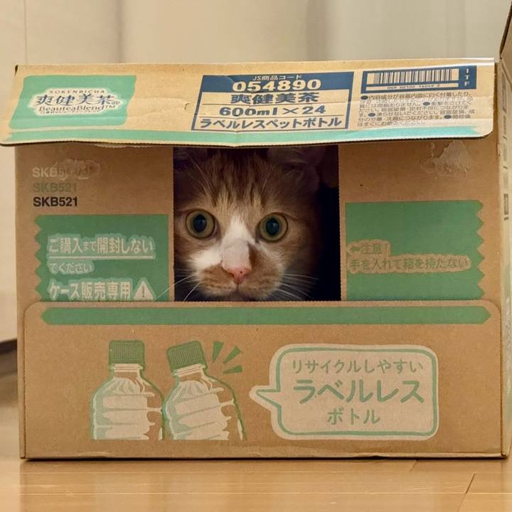 Aedeb22c 4c57 489b 8d0d 8ae4a0abf7b6 1763332560461