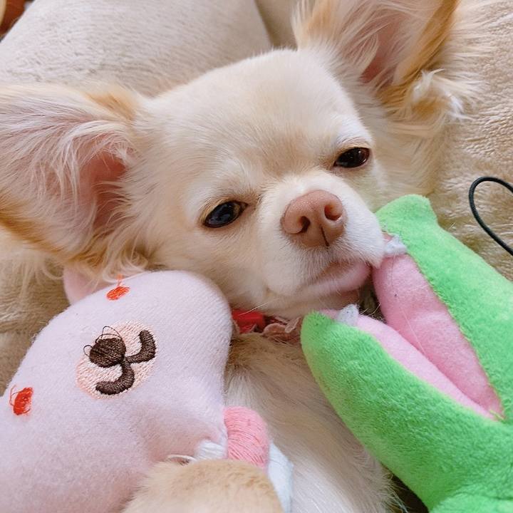 Aedeba81 cedb 45c7 bf19 521c289659b3 1618553461788