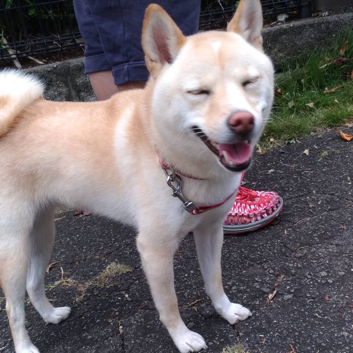 Aedecb4b fafe 4209 abb3 9925a087401b 1538952913013