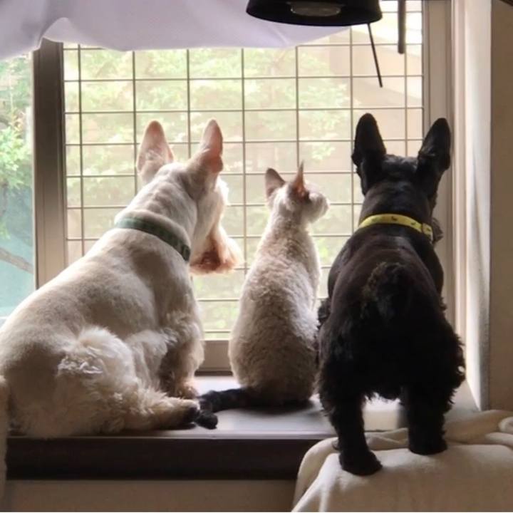 Aedecdbf 14be 4d44 97ab c0000446a9ff 1593402464698