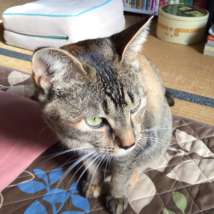 Aededf7a 5e9b 471a 97ac a1a173646141 1586053928300