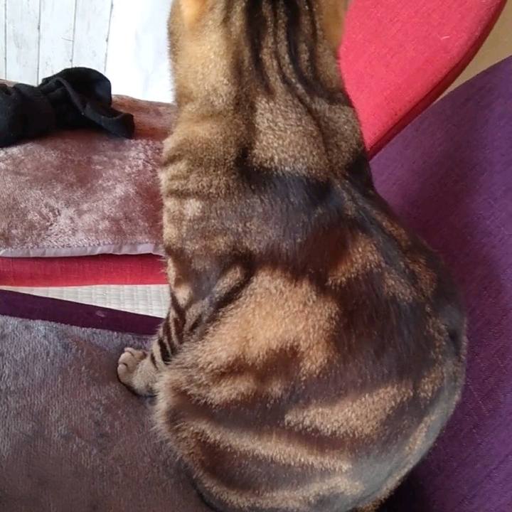 Aedf01c5 27d4 43ae 9f7c 4432149ab8db 1735117333295