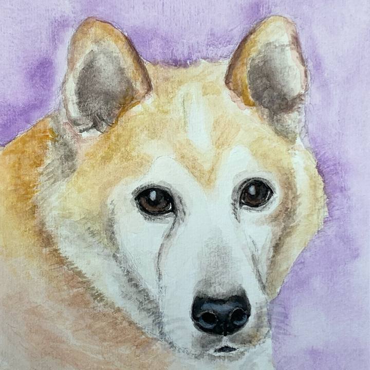 Aedf2c55 b0e0 46f9 9ba2 b3f2dccf779e 1684227065133