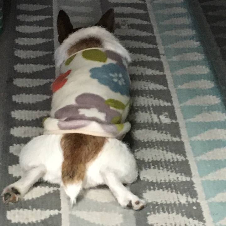 Aedf414f fe0a 4a9e bbbb f239a059d333 1588289565458