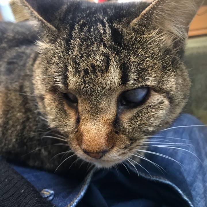 Aedf5768 b237 4018 ad32 c6fc16aa9b9e 1610847570679