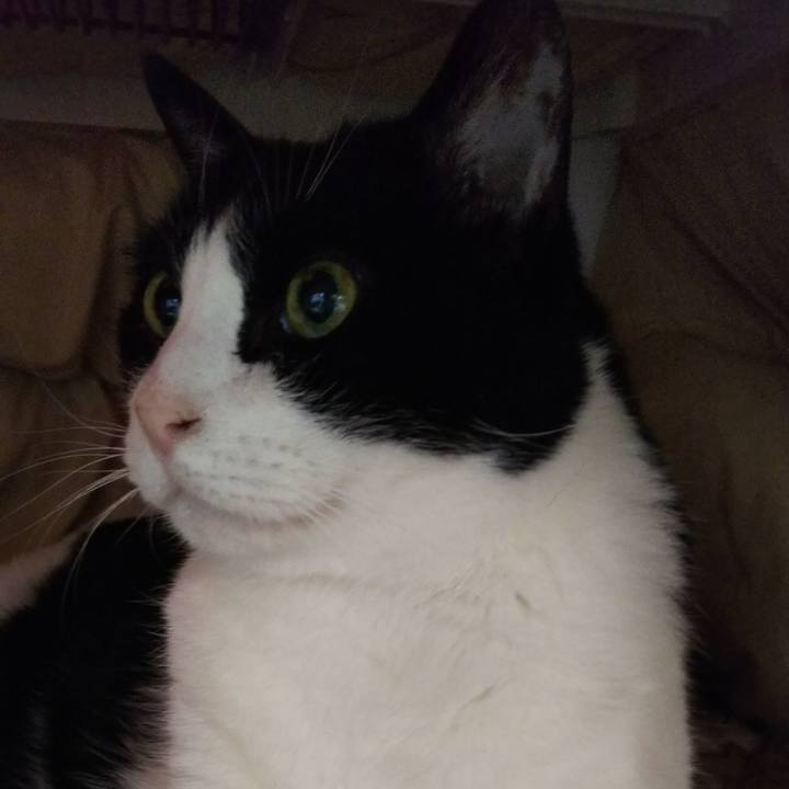 Aedf7651 8416 41f7 82d7 7aa052a1ff77 1552090179182