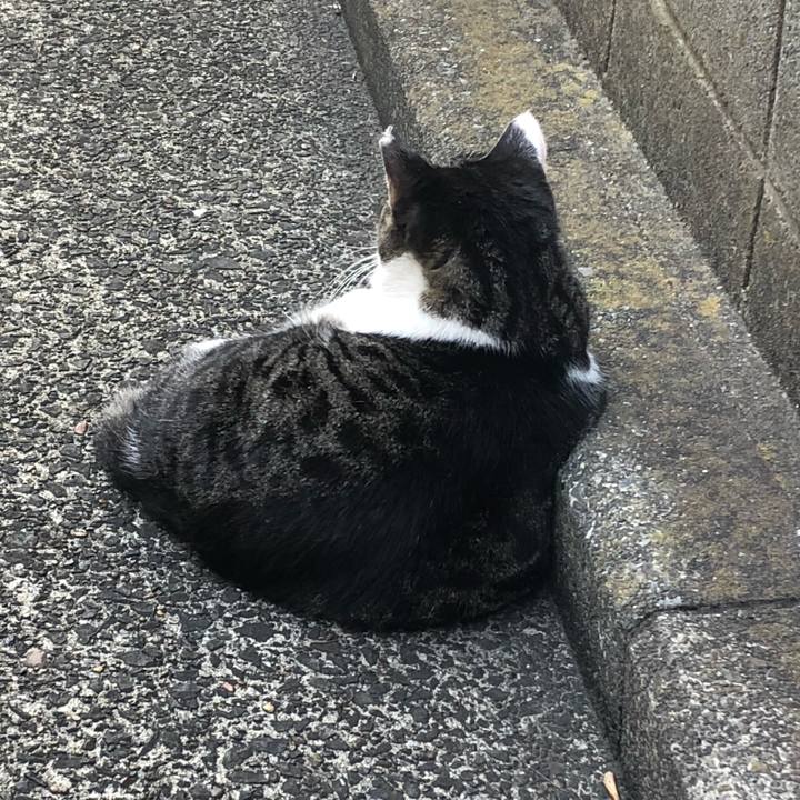 Aedf8534 bd85 4248 8503 24bef2dab042 1534551867942