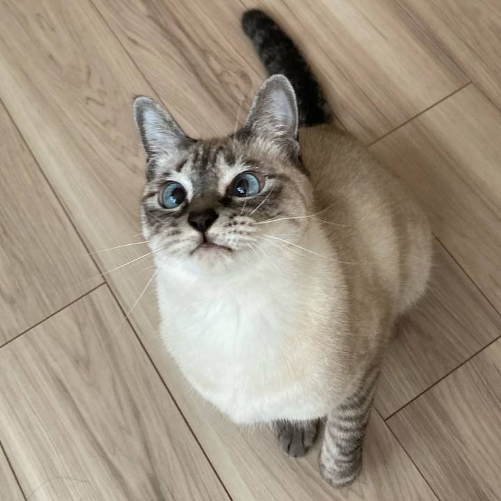 Aee03dd6 ce37 4d28 98b4 cb8feba8154d 1635726432300