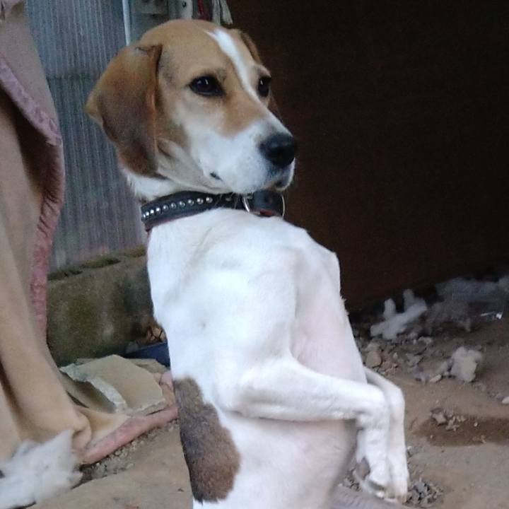 Aee05982 9e43 4bda a9b2 6084ed33669b 1637412737509