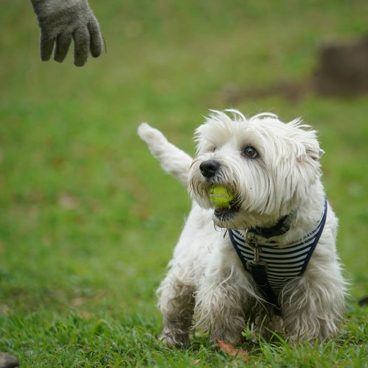 Aee06cb5 f0ce 47fe a7b8 ccf75c1f01b7 1524557139483