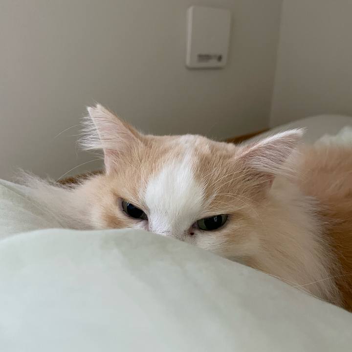 Aee0766f d02b 4dcc a1b3 33020ade06d5 1670626985842