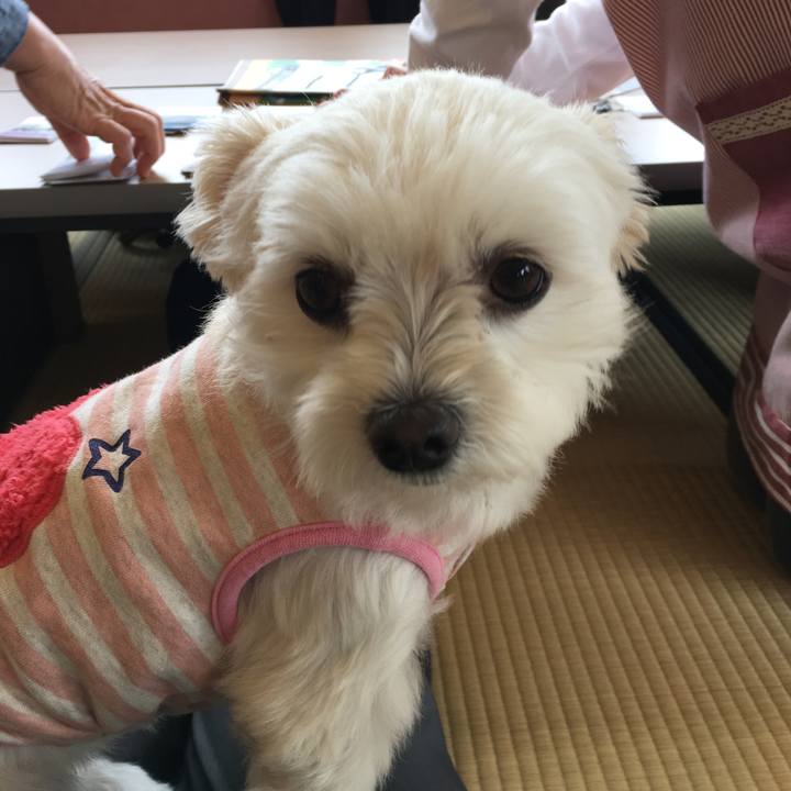 Aee08e19 c4b0 45d6 b2b4 93e7b737db1a 1510283400261