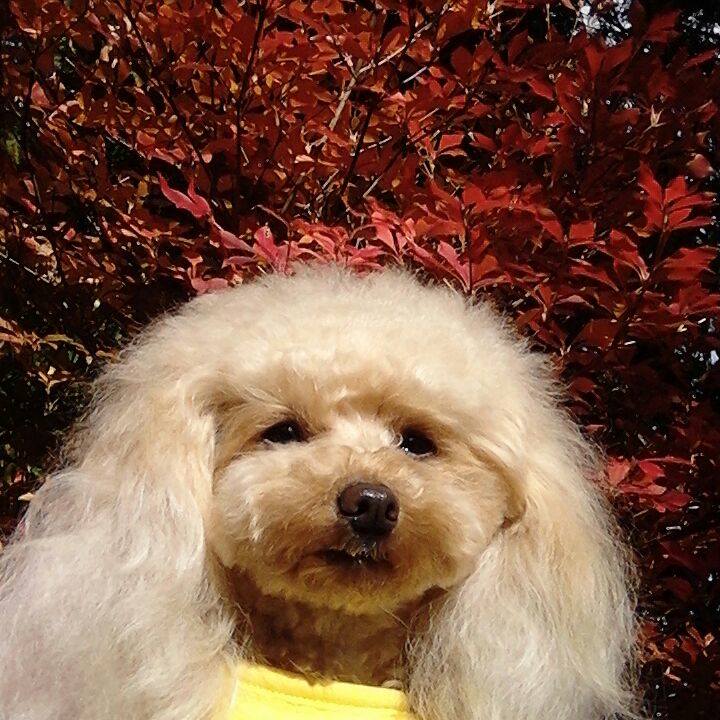 Aee09aa1 1ba3 4fb8 9bda 790956965b98 1543143960340