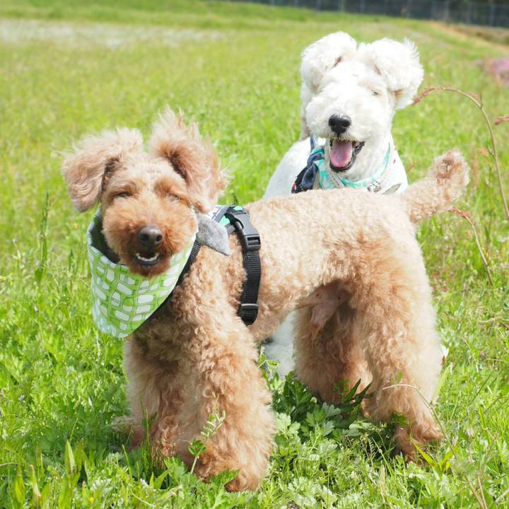 Aee0bd69 99d6 448e 88b2 2c4f61735556 1524488401047