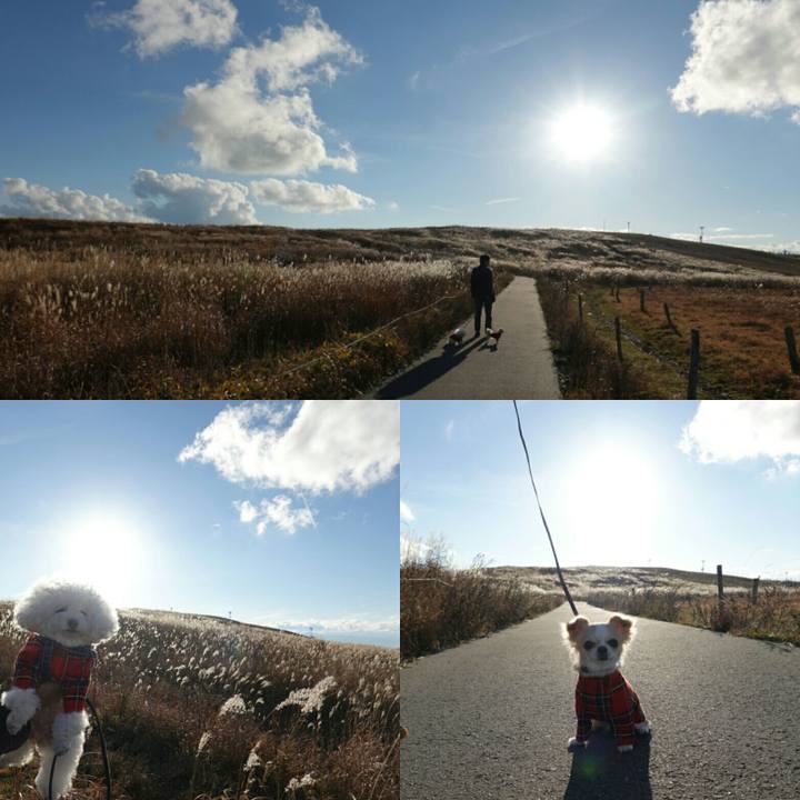 Aee0ee46 1d28 463b 9a08 a5c576305f9c 1542189184951