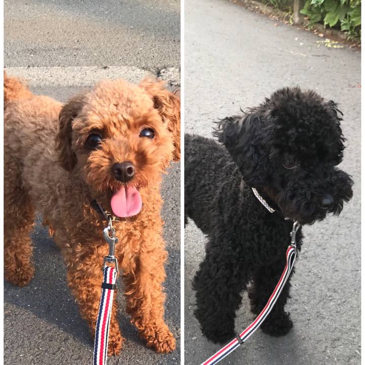 Aee0f036 f6ef 4943 ae1c 021785391fdb 1531610782386