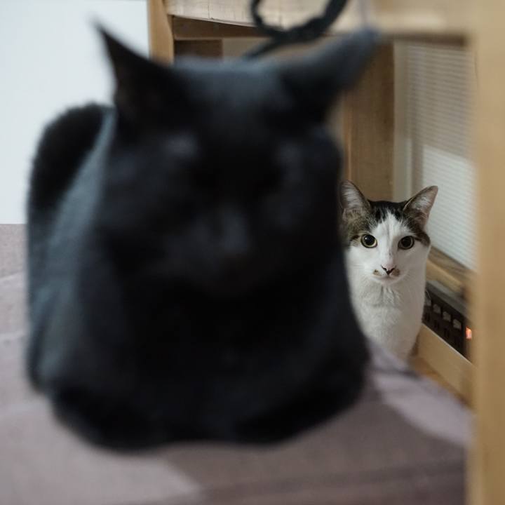 Aee10b0c c6c4 4532 8049 d223abcf2697 1557790146839