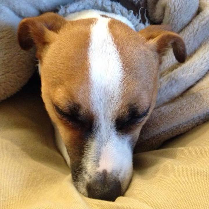 Aee1447a cbb1 4c15 aec1 4d1f630fe9ad 1705318688571