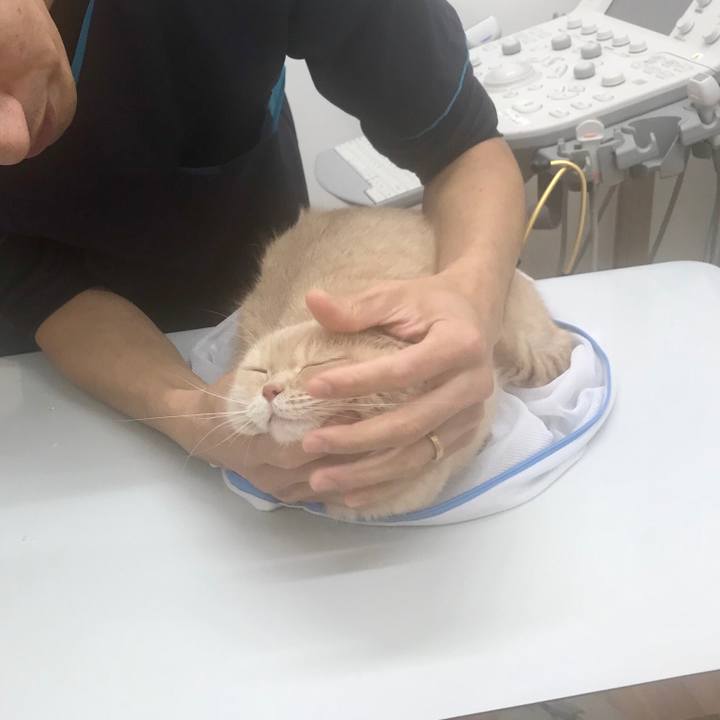 Aee14a77 96fb 4da2 a9ad 11c536c0003c 1543742568149