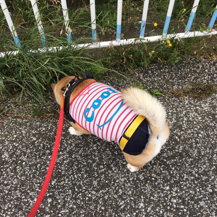 Aee18398 3946 4a87 ace5 6990ec20bd80 1591573751953