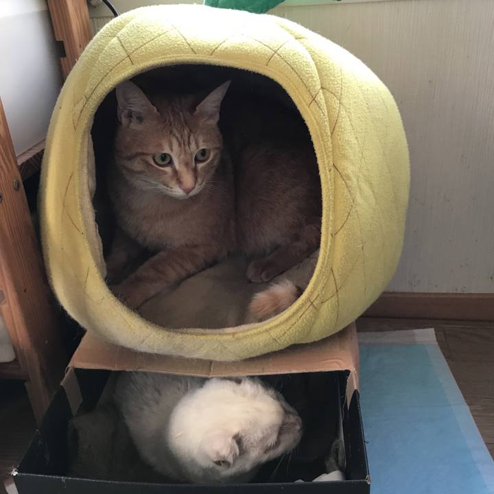 Aee186f4 8c8c 4618 8193 d4244e063f2e 1559173322460