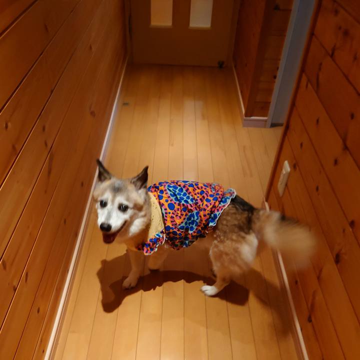 Aee19015 1253 4c9a 976f 85e02beb1690 1757484640756