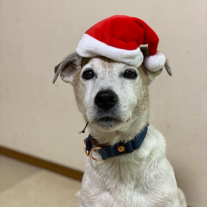 Aee19c2a d12d 4de6 a7b8 79da3dcfa916 1608846478603