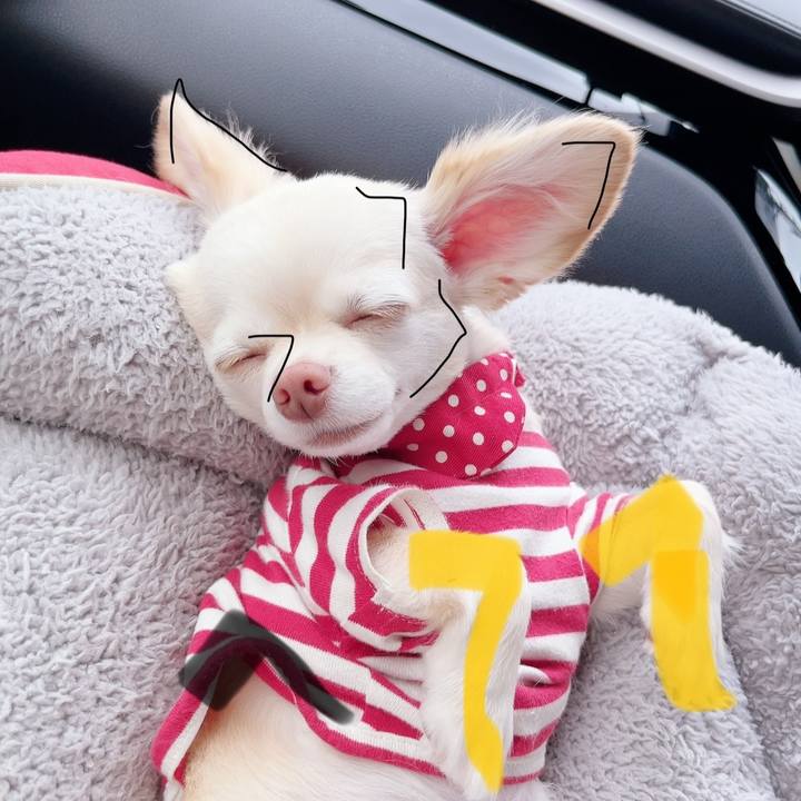 Aee1c9a5 15be 4f2f 80b8 4d2d3c7f83dc 1686212622967