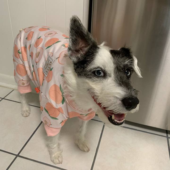 Aee1db8e 8dca 480e b888 cfbe253e2135 1619868105269