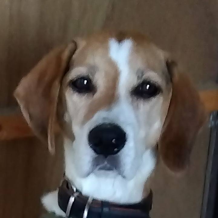 Aee20497 e850 414a 8071 9eaa219b2d3d 1694414919536