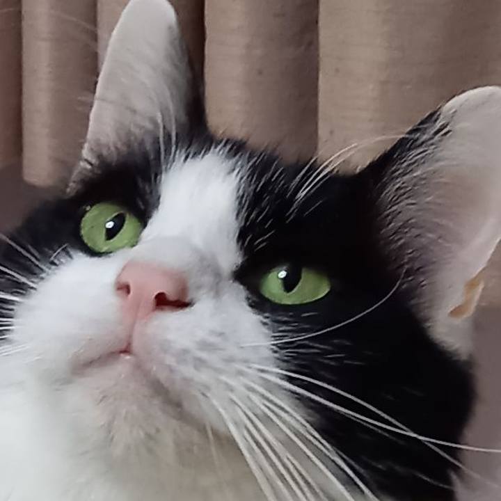 Aee204c5 5f2e 46c6 af61 7c6c8175603f 1616847499658