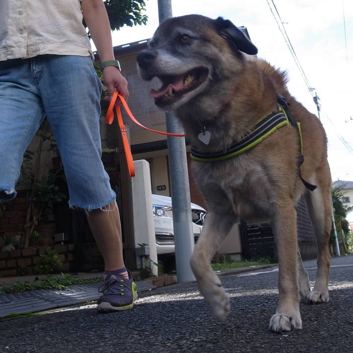 Aee20700 ac68 482a a087 b81a15ddd34d 1589160078225