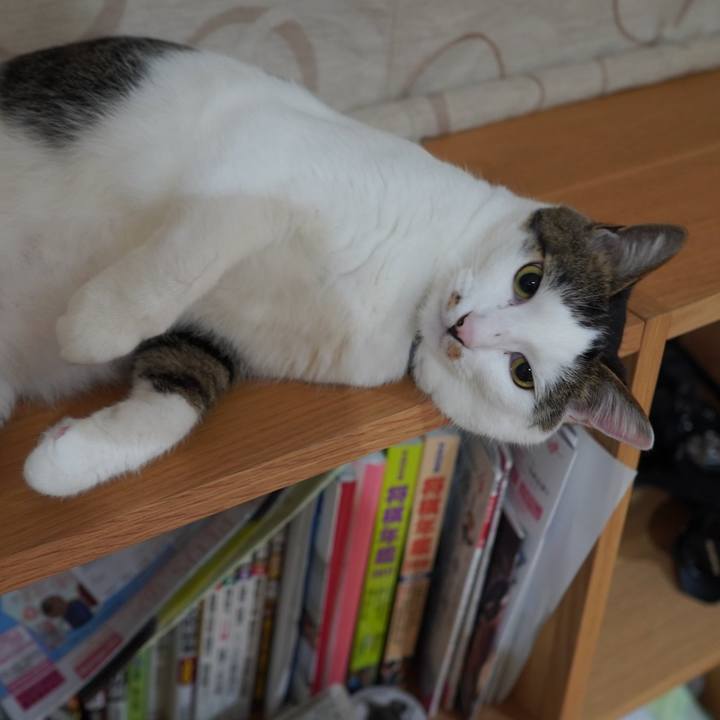 Aee22573 0eed 4885 8767 7ff03e605381 1591194093511