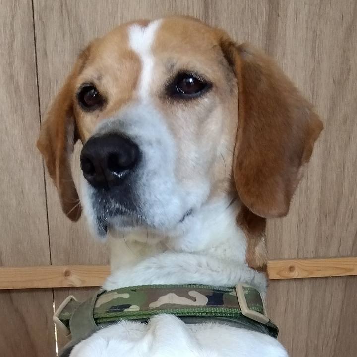 Aee245c1 a5a1 4d6d 9e4b 288cc41ba9f6 1680526638506