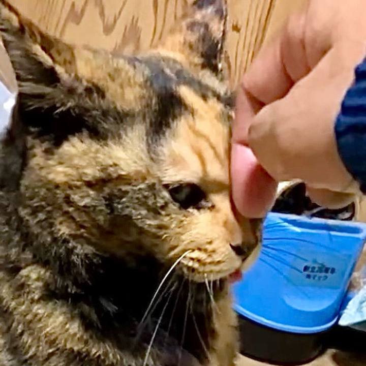 Aee24b9a dba1 4f9d b9bd d2ce3d5edb3f 1729368815085