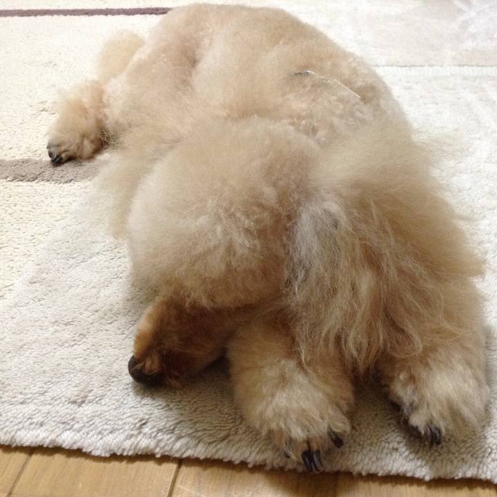 Aee2590b dadc 4570 a68c fd67fadc5b36 1598068264601