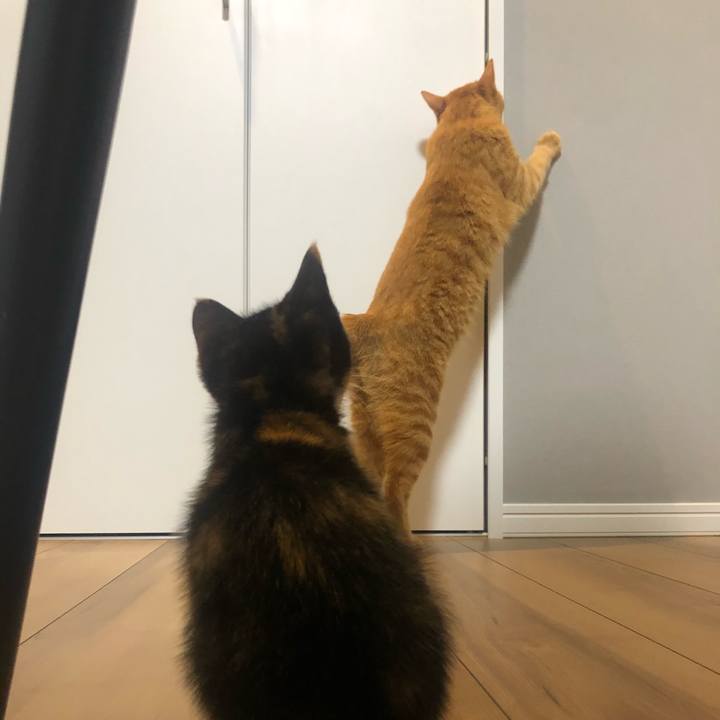 Aee26ef5 56c7 4f80 970b 9246d1a52a3f 1625362088076