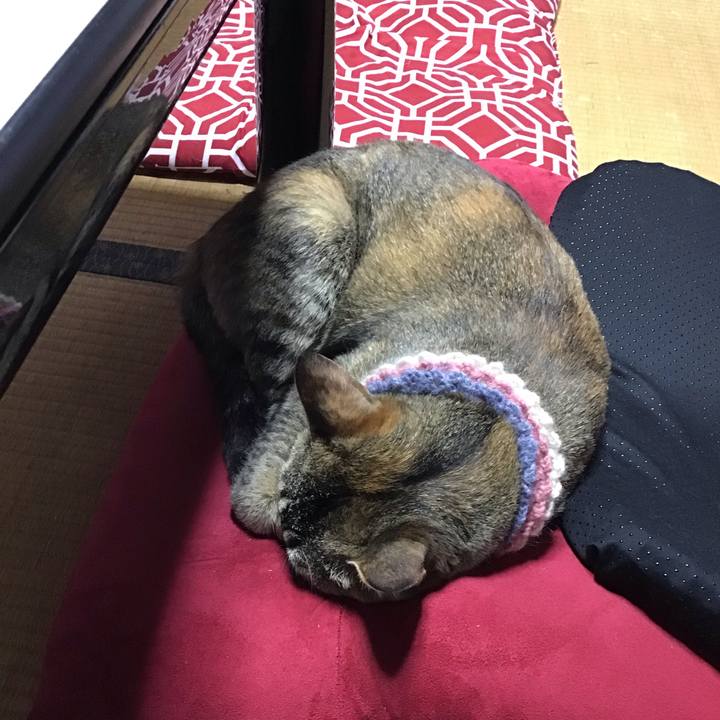 Aee27736 9303 4e87 98d6 1f5f6716e78b 1625105560505