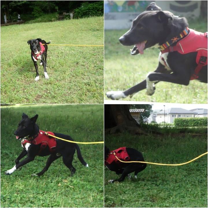 Aee2d0ea afdf 4594 8649 7d265a0c4ac6 1591144837430