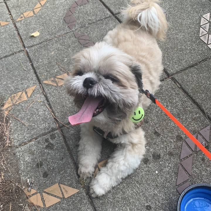 Aee2f7e5 102c 43f5 8c4a 27f52ee1ca5c 1759284631217