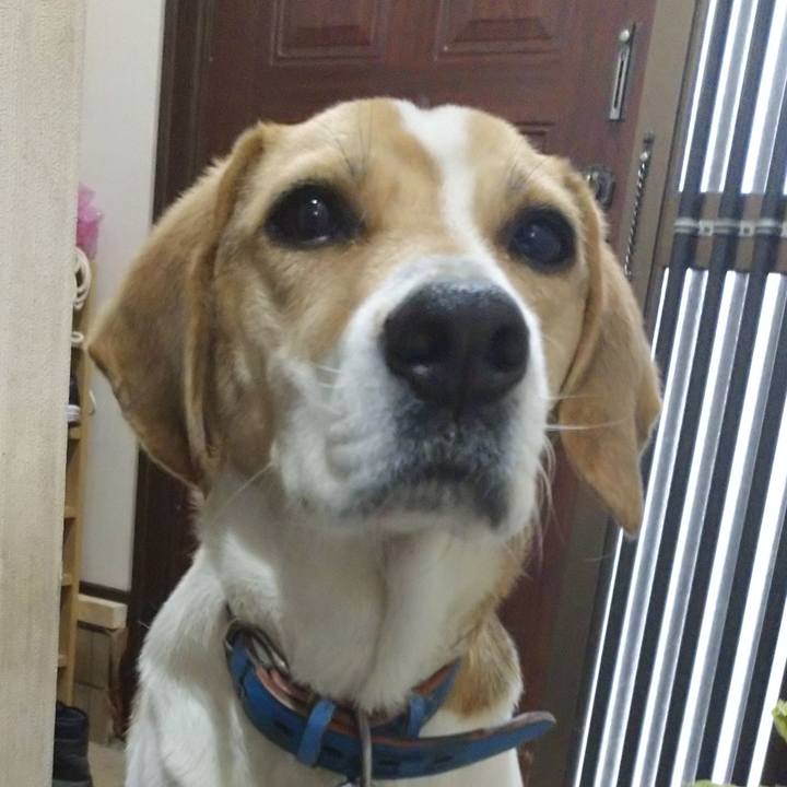 Aee2fecc c86d 4061 a9aa ca4253019283 1615019351673