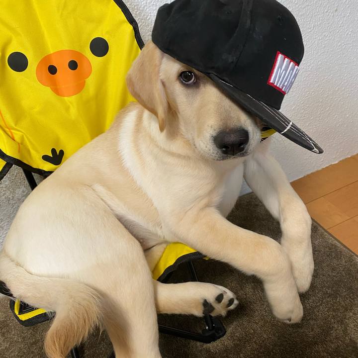 Aee305fb 7bed 4f68 8b5d bd3664d665c2 1615513402985