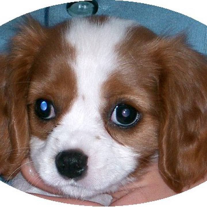 Aee313e2 3659 4e4f b10e 5e3fb36531ff 1513808247088