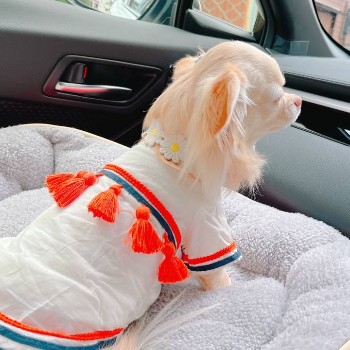 Aee35561 2fca 4751 9530 bbcc741b2976 1648953188453