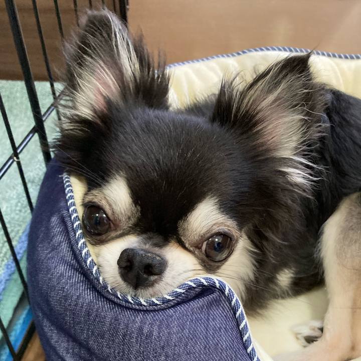 Aee3e996 7b9e 46f9 962f 30e48609b04d 1658067915986