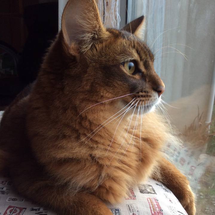 Aee44220 3d49 42fc 9818 dbb02fceacde 1606432788526