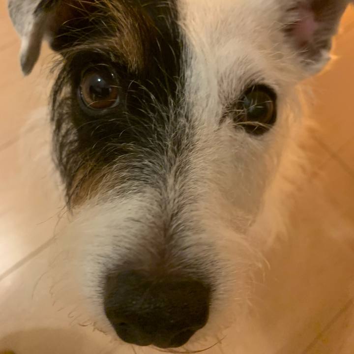 Aee45fb0 a4ec 4d6f 952b 8402b0e4e463 1632220796361